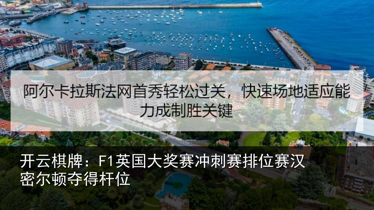 开云棋牌:F1英国相关情况赛汉密尔顿夺得杆位
