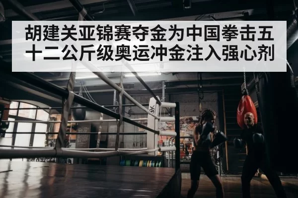 boxer training