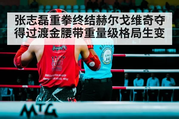 张志磊重拳终结赫尔戈维奇夺得过渡金腰带重量级格局生变